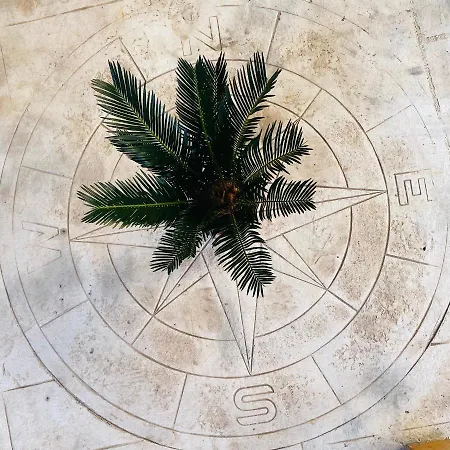 Orange House *
