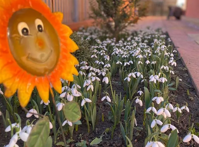 בית אירוח Orange House