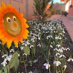홈스테이 Orange House