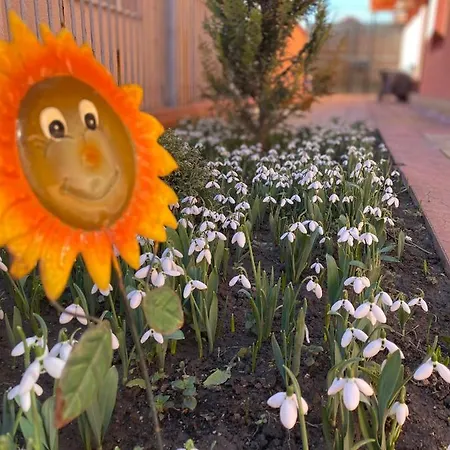 Habitación en casa particular Orange House