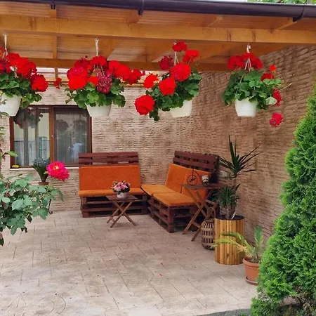 Orange House Constanta Homestay *