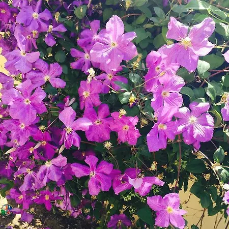 Orange House Habitación en casa particular *