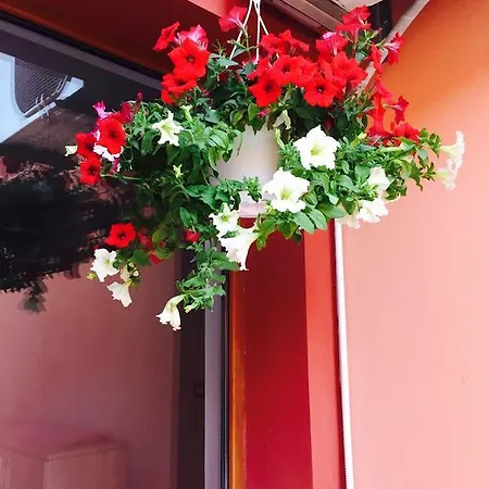 Orange House Constanta *